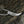 Viking Fenrir Wolf Tooth Pendant Necklace - Instinct