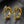 Dragon Hoop Earrings - Power